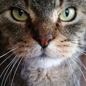 Meet your Posher, Scott